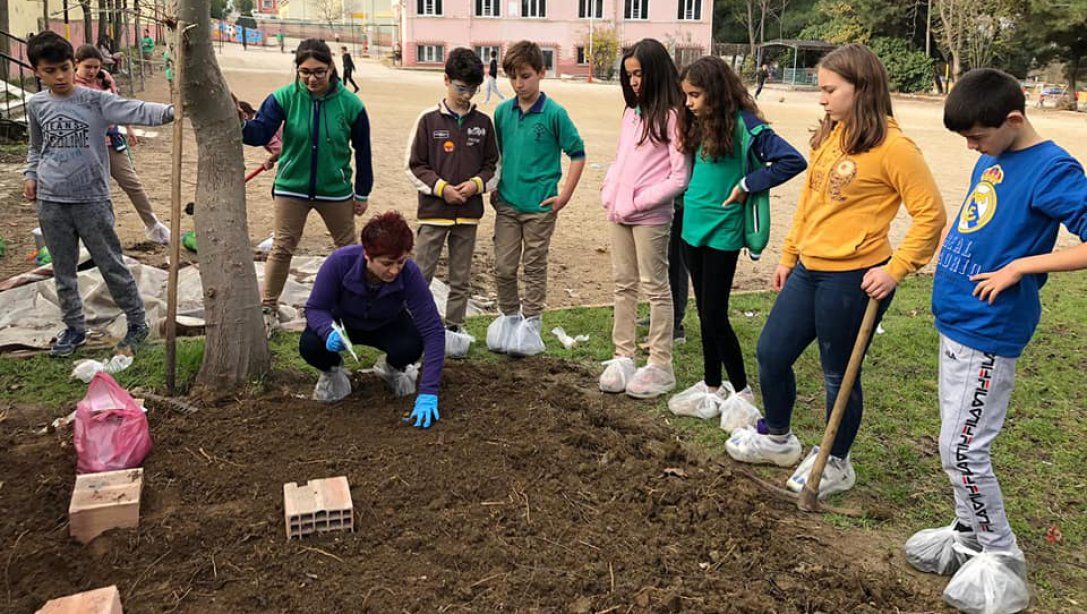 2023 Eğitim Vizyonu Edirne, Doğa Dostu Nesiller Projesi Kapsamında Keşan Rasim Ergene Ortaokulu Öğrencilerimizin Okulda Tarım Bahçesi Oluşturma Çalışmaları
